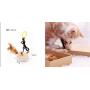 Meows Cat Toy 7-Piece Set Toys Kitten Toys Assortments Pets Feather Cat Wand Toys Set Cat Feather Toys Fish Fluffy Mouse Mice Balls and Bells Toys for Cat Puppy Kitty