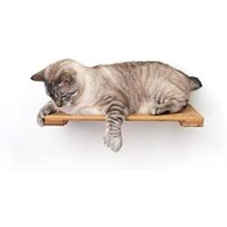 CatastrophiCreations 18'' Cat Shelf Wall Mounted Elevated Climb, Lounge and Play Furniture Cat Tree Shelves