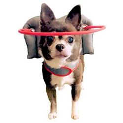 Muffin’s Halo Blind Dog Harness Guide Device – Help for Blind Dogs to Avoid Accidents & Build Confidence – Ideal Blind Dog Accessory to Navigate Surroundings. Helped Over 30,000 Blind Dogs!