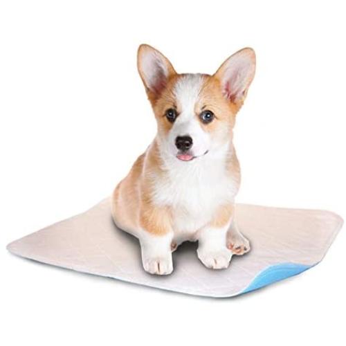 AbsorbPads Quality Washable Dog Underpad - Super Absorbent Reusable Puppy Training Pads Heavy Duty Leak Proof Large Incontinence Under pad, 18 x 24 Inch (6 Pack).