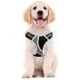Petties&Sweeties No Pull Dog Harness, Reflective Adjustable Soft Padded Vest Unique Colors,with a Easy Control Training Handle