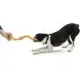 West Paw Zogoflex Bumi Dog Tug Toy (Large, Aqua) & Zogoflex Air Skamp Tug-of-War Stick Dog Chew Toy (Eggplant) – Interactive Toy for Dogs, Puppies – for Chewing, Catch, Carry, Fetch