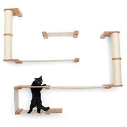 CatastrophiCreations Roman - Multiple-Level Cat Hammock & Climbing Activity Center Wall-Mounted Cat Tree Shelves