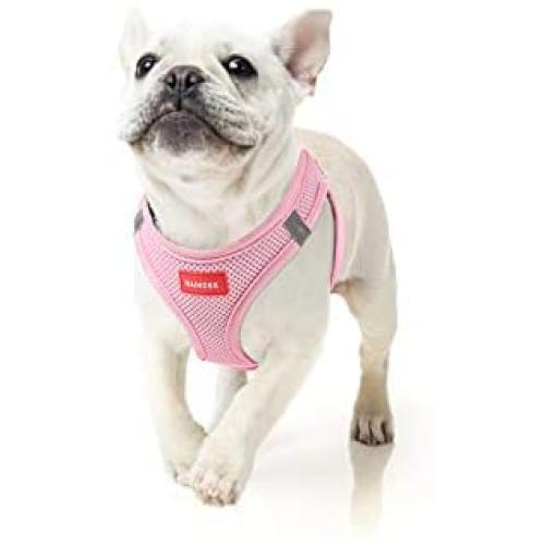 RAINDEE Dog Harness Comfortable Mesh&Breathable Vest Harness for Small Medium Dogs, Pet Vest Harness 4 Sizes, Multiple Colors (Small, Pink)