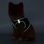 SMALLLEE_LUCKY_STORE Soft Mesh Step-in Small Dog/Cat Harness and Leash Set for Walking Escape Proof Reflective Puppy Vest Harness