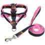 GoGo Pet Products petIM Adjustable Jean Denim Dog Leash and Collar Set - Best Dog Harness for Small Dogs - Jean Dog Harness Puppy for Walk