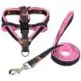 GoGo Pet Products petIM Adjustable Jean Denim Dog Leash and Collar Set - Best Dog Harness for Small Dogs - Jean Dog Harness Puppy for Walk