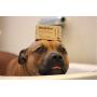 WashBar Natural Dog Shampoo Bar - Natural Bar Soap and Dog Shampoo For Allergies and Itching and Sensitive Skin, Easier to Use Than Liquid Shampoo With No Plastic Bottle Waste, 2 Pack