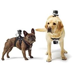 GoPro Fetch Dog Harness - Official GoPro Mount