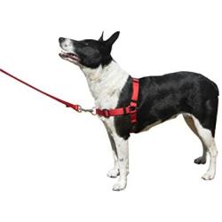 BeBopUSA Front Lead Dog Harness - Large - Blue