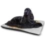 DayDayFun Letter E Pad Pet ABC of Sports Concept Different Gaming Balls First Name Initial Monogram Design Comfortable Soft Pet Cushion Multicolor