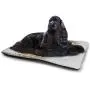 DayDayFun Letter E Pad Pet ABC of Sports Concept Different Gaming Balls First Name Initial Monogram Design Comfortable Soft Pet Cushion Multicolor DayDayFun Letter E Pad Pet ABC of Sports Concept Different Gaming Balls First Name Initial Monogram Design Comfortable Soft Pet Cushion Multicolor
