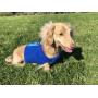 Dual Purpose Cooling and Calming Harness