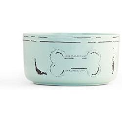 Pet Champion 32 oz Vintage Mason Jar Melamine Feeding Bowl, Teal, Medium