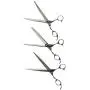 ShearsDirect 3Piece Cutting Shear Set, Includes 8.0'' Straight, 8.0'' Curved & 7.0'' 58 Teeth Blender