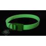 Davis FurEver Brite Glow in The Dark Pet Safety Collar, Small to Medium, Green