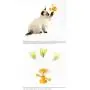MOOS Suction Cup Spring People Turn cat Toy Turntable Funny cat Stick pet Toy MOOS Suction Cup Spring People Turn cat Toy Turntable Funny cat Stick pet Toy