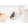 MYZOO Luna: Wall Mounted Cat Bed, Wooden Cat Furniture, Floating Cat Perch, Cat Tree, Cat Shelves