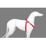 Step in Dog Harness No Choke Comfortable Padded Neoprene, Back Attachment Fully Adjustable for Medium and Small Dogs. New Bright Colors Available