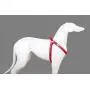 Step in Dog Harness No Choke Comfortable Padded Neoprene, Back Attachment Fully Adjustable for Medium and Small Dogs. New Bright Colors Available Step in Dog Harness No Choke Comfortable Padded Neoprene, Back Attachment Fully Adjustable for Medium and Small Dogs. New Bright Colors Available