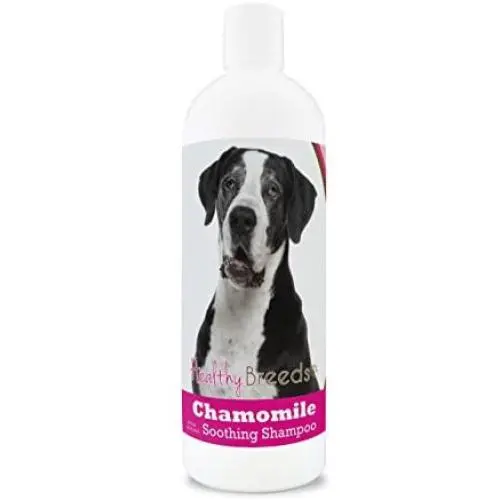 Healthy Breeds Chamomile Dog Shampoo & Conditioner with Oatmeal & Aloe for Great Dane, Black - OVER 200 BREEDS - 8 oz - Gentle for Dry Itchy Skin - Safe with Flea and Tick Topicals Healthy Breeds Chamomile Dog Shampoo & Conditioner with Oatmeal & Aloe for Great Dane, Black - OVER 200 BREEDS - 8 oz - Gentle for Dry Itchy Skin - Safe with Flea and Tick Topicals