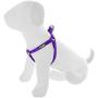 Pawtitas Pet Adjustable Solid Color Step in Puppy/Dog Harness 6 feet Matching Collar and Harness Sold Separately