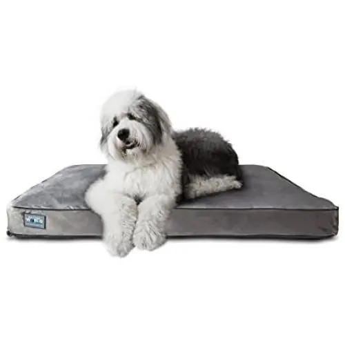 Better World Pets 5-inch Thick Orthopedic Dog Bed | Pure Premium Shredded Memory Foam Ideal for Aging Dogs | Waterproof Removable Washable Cover Better World Pets 5-inch Thick Orthopedic Dog Bed | Pure Premium Shredded Memory Foam Ideal for Aging Dogs | Waterproof Removable Washable Cover