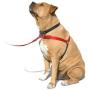 SENSE-ation No-Pull Dog Harness - 3/4'' Wide Medium/Large