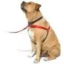 SENSE-ation No-Pull Dog Harness - 3/4'' Wide Medium/Large SENSE-ation No-Pull Dog Harness - 3/4'' Wide Medium/Large