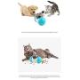 Webliew Swing Bear, Pet Leak Food Machine,Toys Leak Food Machine,Can Slide Pet Puzzle Toys Can Be Used for Pet Dogs and Cats