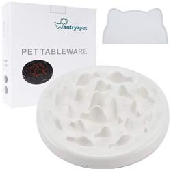 WANTRYAPET Dog Feeder Slow Bowl + Non-Slip Dog Bowl Mats, Ceramic Fun Slow Feed Interactive Bloat Stop Dog Bowl, Eco-Friendly Durable Preventing Choking Healthy Design Bowl