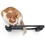 CatastrophiCreations Cat Escape Hatch Wall Mounted Elevated Climb, Lounge and Play Furniture Cat Tree Shelves - English Chestnut, One Size CatastrophiCreations Cat Escape Hatch Wall Mounted Elevated Climb, Lounge and Play Furniture Cat Tree Shelves - English Chestnut, One Size