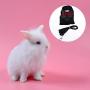 JETTINGBUY 3 Set Rabbit Harness Leash Adjustable Soft Breathable Mesh Small Pet Harness Running Walking Jogging Harness Leash for Small Animals (M)