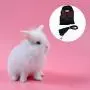 JETTINGBUY 3 Set Rabbit Harness Leash Adjustable Soft Breathable Mesh Small Pet Harness Running Walking Jogging Harness Leash for Small Animals (M) JETTINGBUY 3 Set Rabbit Harness Leash Adjustable Soft Breathable Mesh Small Pet Harness Running Walking Jogging Harness Leash for Small Animals (M)