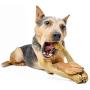Pet Qwerks Wish BarkBone - For Aggressive Chewers| Made in USA
