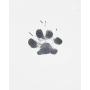 Inkless Paw Print Pad for Picture Frames and Keepsakes fits Small to Medium Sized Pets …