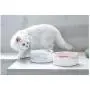 Cat Ceramic Bowl Pet Solid Wooden Frame Cat Drink Water Bowl Dog Food Basin Dog Bowl Ragdoll Food Bowl Cat Supplies (Pink) Cat Ceramic Bowl Pet Solid Wooden Frame Cat Drink Water Bowl Dog Food Basin Dog Bowl Ragdoll Food Bowl Cat Supplies (Pink)