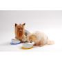 Hario Chibi Plate Food Bowl for Small Dogs, 75ml, Cherry Pink