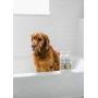 Martha Stewart for Pets All-Purpose Shampoo for Dogs with Oatmeal and Aloe | Natural Oatmeal Dog Shampoo is Naturally Moisturizing, Soothing, and Cleansing for All Dogs | 16 Ounces (FF9600)