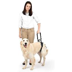 PetSafe PetSafe CareLift Rear Support Harness - Lifting aid with Handle and Shoulder Strap - Great for pet Mobility and Older Dogs - Comfortable, Breathable Material - Easy to Adjust - Large