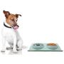 Pet Fit For Life Double Cat Dog Bowl Pet Feeding Station Stainless Steel No Spill Food and Water Bowls for Cats Kittens Small Dogs and Puppies