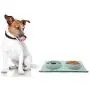Pet Fit For Life Double Cat Dog Bowl Pet Feeding Station Stainless Steel No Spill Food and Water Bowls for Cats Kittens Small Dogs and Puppies Pet Fit For Life Double Cat Dog Bowl Pet Feeding Station Stainless Steel No Spill Food and Water Bowls for Cats Kittens Small Dogs and Puppies