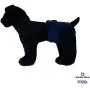 Barkertime Premium Wateproof Dog Diaper - Made in USA - Navy Blue Waterproof Premium Dog Diaper for Incontinence, Male Marking, Females in Heat Barkertime Premium Wateproof Dog Diaper - Made in USA - Navy Blue Waterproof Premium Dog Diaper for Incontinence, Male Marking, Females in Heat