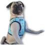 QTpawz Pug Puppy Step in Harness - Easy On Design with Velcro - Perfect for Pug Puppies and Smaller Pugs or Puggles