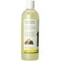 Bobbi Panter Oatmeal & Shea Butter Shampoo