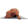 DOG MATZ Pet Anti-Slip Floor Mat to Keep Dogs from Slipping on Hard Floors – 24x68”