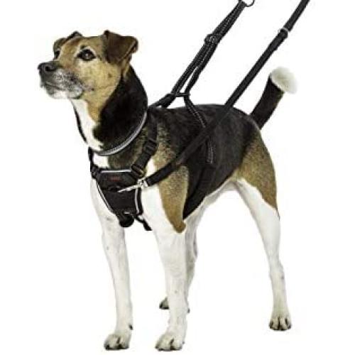 The Company of Animals HALTI No-Pull Harness
