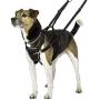The Company of Animals HALTI No-Pull Harness