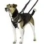 The Company of Animals HALTI No-Pull Harness The Company of Animals HALTI No-Pull Harness