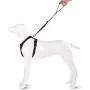 Ownpets Dog Harness, Adjustable XL Size Dog Chest Strap with Hauling Cable, Ideal for Pet Daily Walk, Running, Jogging, Training & Outdoor Activities Ownpets Dog Harness, Adjustable XL Size Dog Chest Strap with Hauling Cable, Ideal for Pet Daily Walk, Running, Jogging, Training & Outdoor Activities